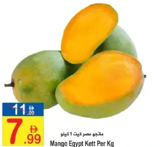 Mango Egypt Kett
