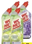 Wc Net Intense Liquid Assorted