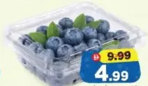 Blueberry