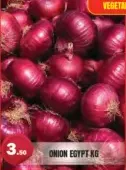Onion Egypt