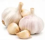ثوم