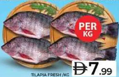 Tilapia Fresh