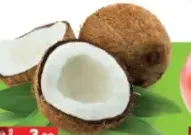 جوز هند