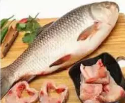 Rohu 1Up Fro.Fish