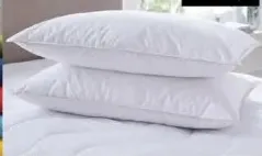 Breez 2 In 1 Combo Pillow