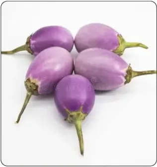 Brinjal Green