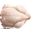 دجاج طازج