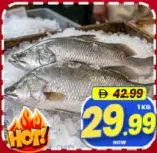 Asian Sea Bass Kalanchi