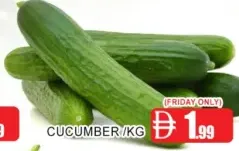 Cucumber