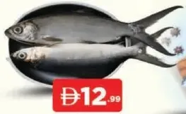 Milk Fish