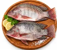 Fish-Tilapia