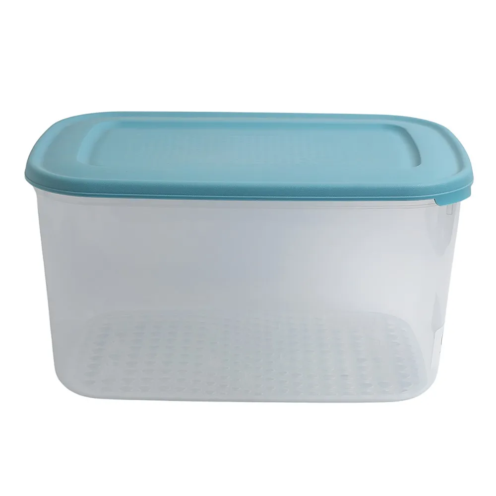 Codil علبة Caixa Bayonne - XL