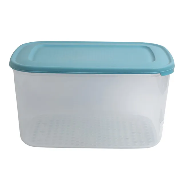 Codil Caixa Bayonne Conteiner - XL