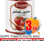 Suppy Tomato Paste