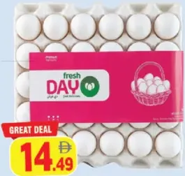 Day Fresh بيض أبيض