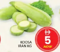 Koosa Iran