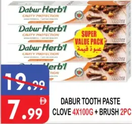 Dabur Herb'l Tooth Paste Clove