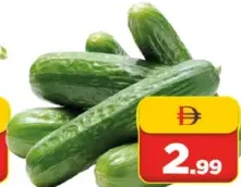 Cucumber Al Ain Class 1