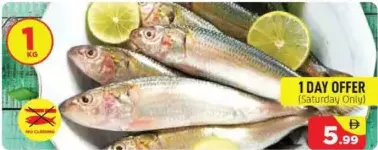 Sardines (mathi)