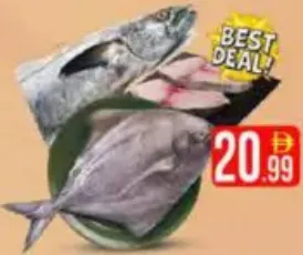 King Fish / Black Pomfret
