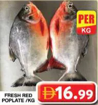 Fresh Red Pomfate