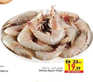 روبيان أكبر حجماً
