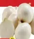 Onion White