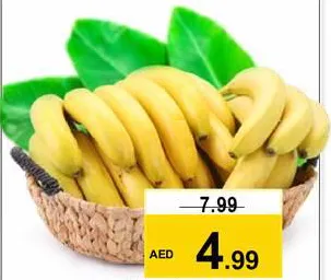 موز إكوادور