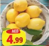 Lemon Big