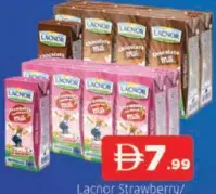 Lacnor فراولة / شوكولاتة