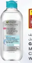 Garnier Skin Active Micellar Cleansing Water and Cleansing Water In Oil