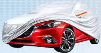 Car Cover Assorted