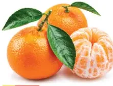 Orange Sandra Nadaracott