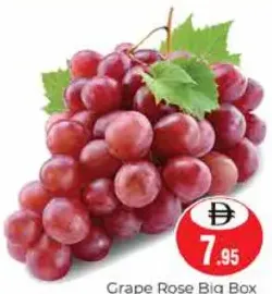 Grape Rose Big Box Egypt