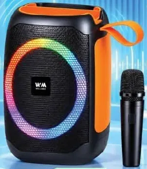 Wmax Protable Wireless Party Speaker