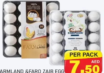 Farmland & Faro Zaib Egg