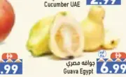 جوافة مصرية