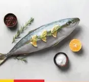 Fresh Fish Tuna White