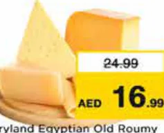 Dairyland جبنة رومي مصرية قديمة