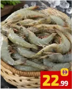 Shrimp Fresh