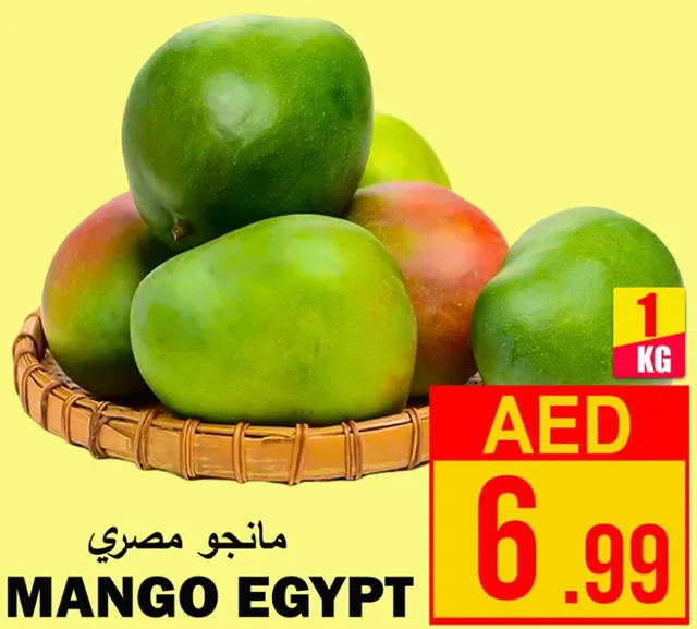 Mango Egypt