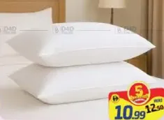 Fine Feather Pillow FF1459