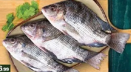 Thilapia 2 kg