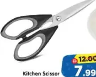 Kitchen Scissor