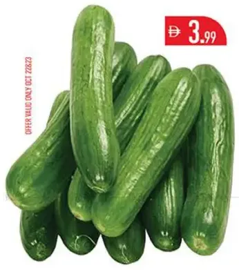 Cucumber (Oman)