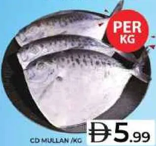 Cd Mullan