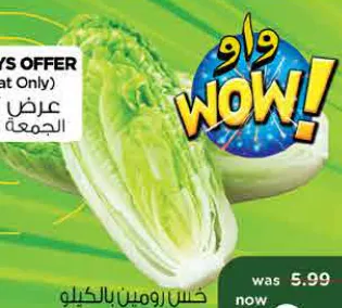 Lettuce Romaine