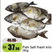 Fish Safi fresh kilo