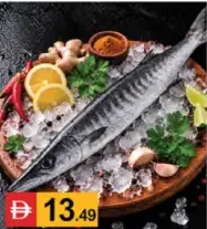 Fish-Barracuda Thinda