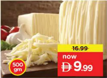 Mozzarella Cheese Block / Shredded